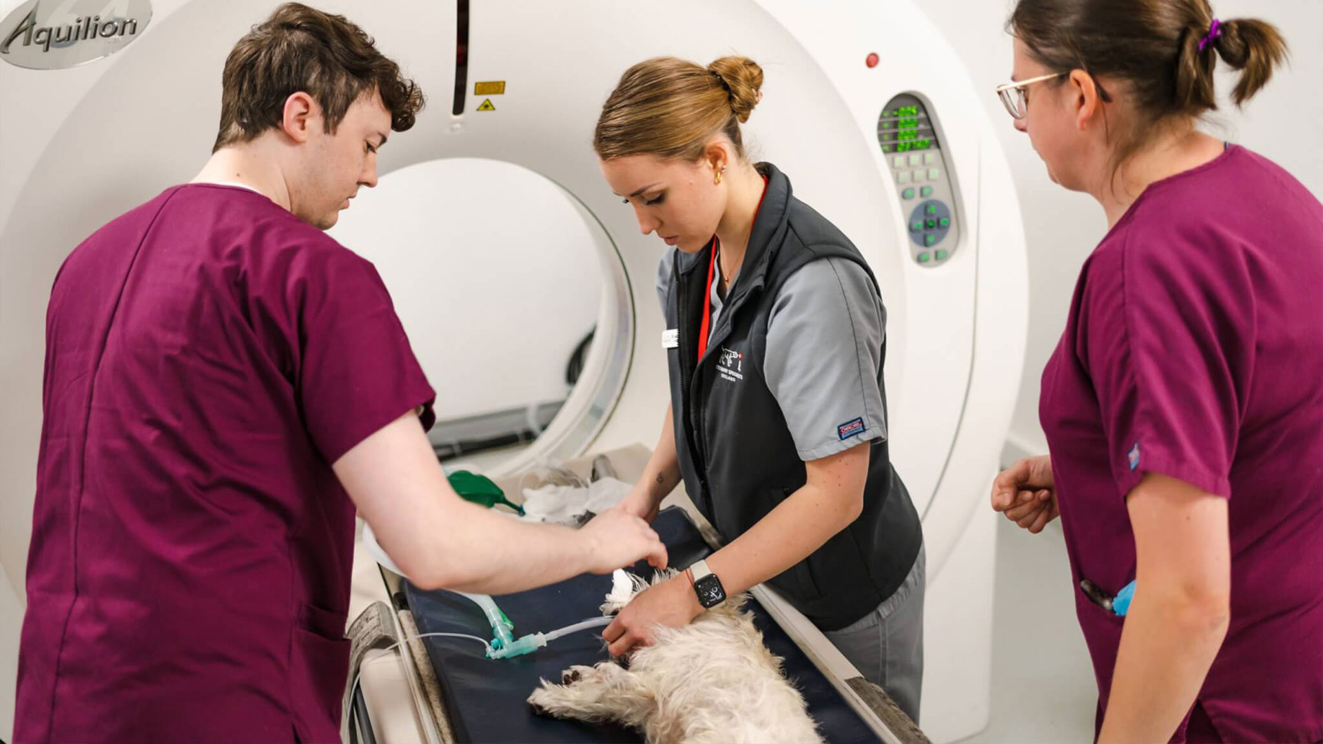 Veterinary Specialists Ireland