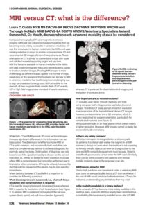 Magnetic Resonance Imaging MRI