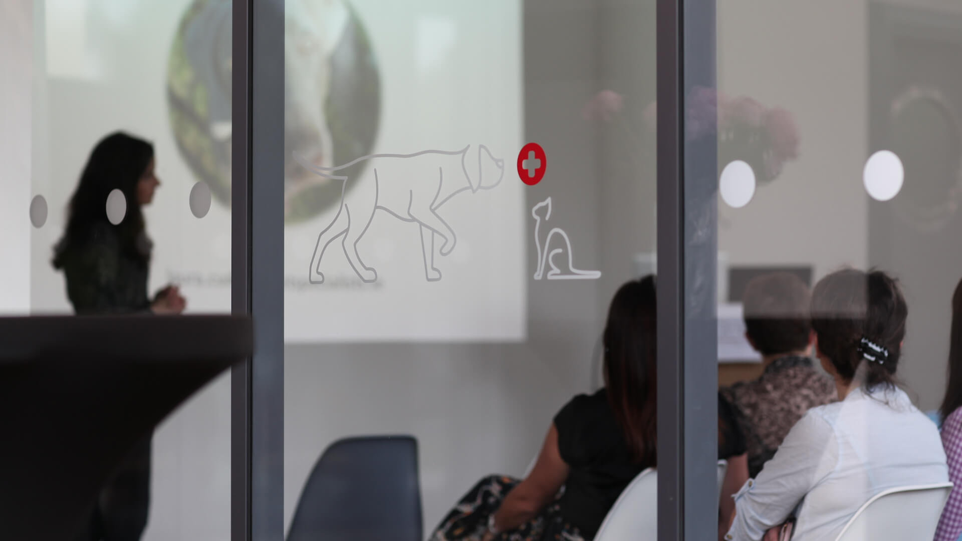 CPD Continuing Professional Development at Veterinary Specialists Ireland