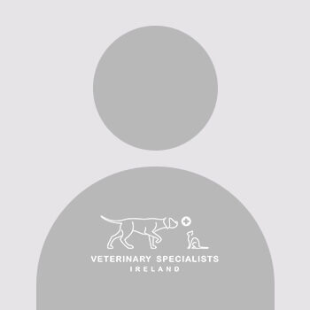 Profile Photo placeholder Veterinary Specialists Ireland